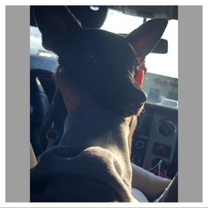 Meet your Posher, Layla